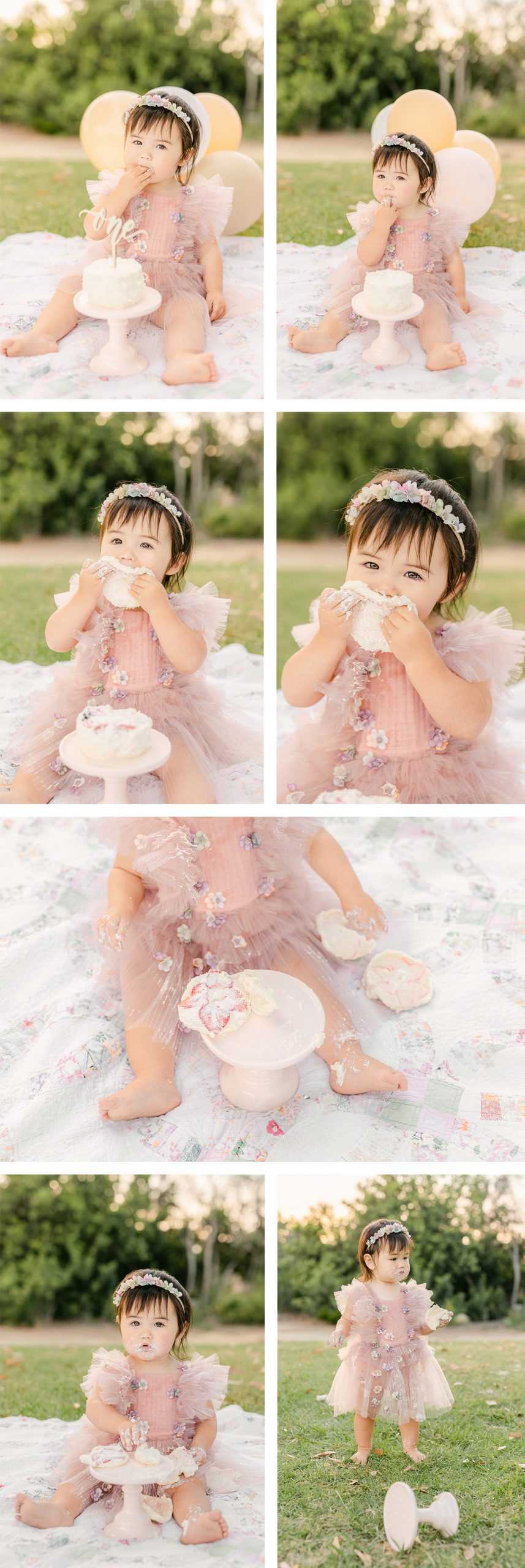 cake smash Family photographer San Diego